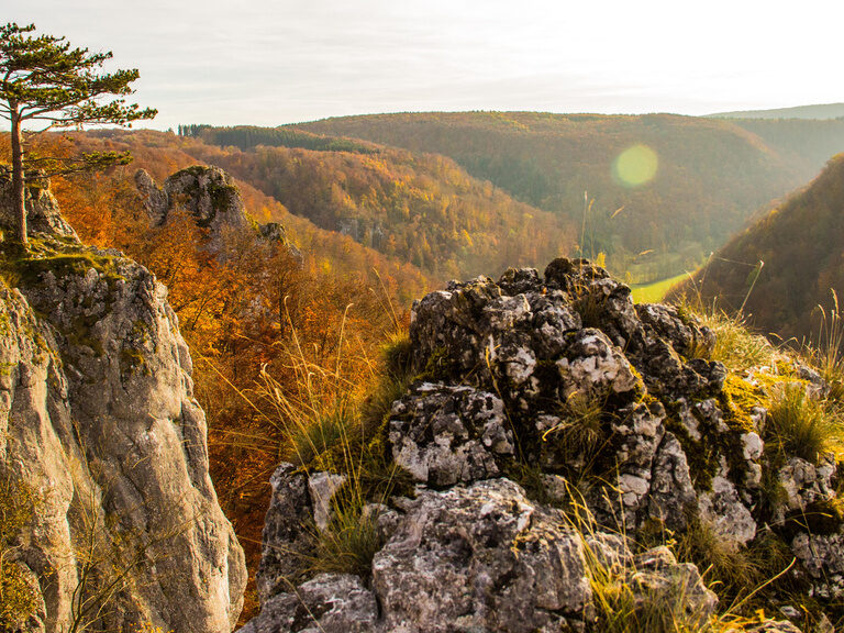 Ein atemberaubender Blick über ein herbstliches Tal im Schwäbische Alb Gebiet.