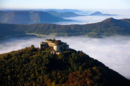 Ein majestätisches Schloss auf einem Berggipfel in der nebligen Landschaft der Schwäbischen Alb.